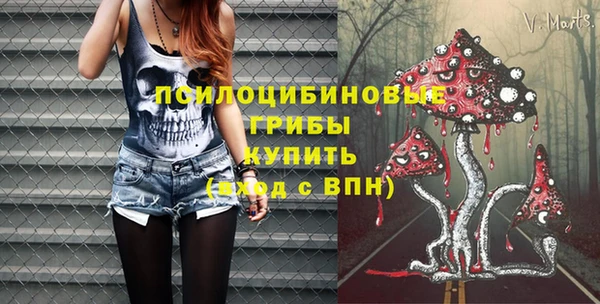 трава Анжеро-Судженск