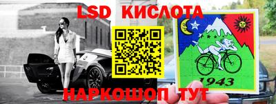 Альфа ПВП Бийск