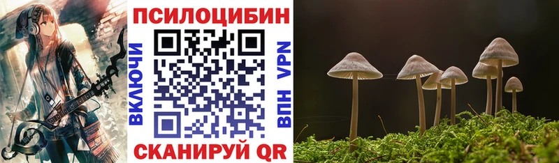 MEGA маркетплейс  Воронеж  Галлюциногенные грибы Magic Shrooms 