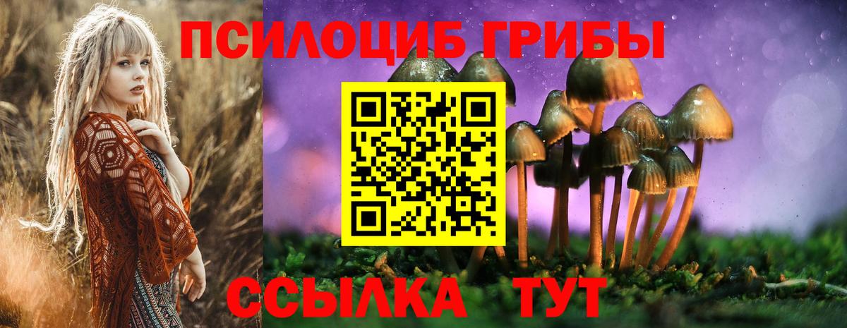 Псилоцибиновые грибы прущие грибы  Вход с VPN  Воронеж 
