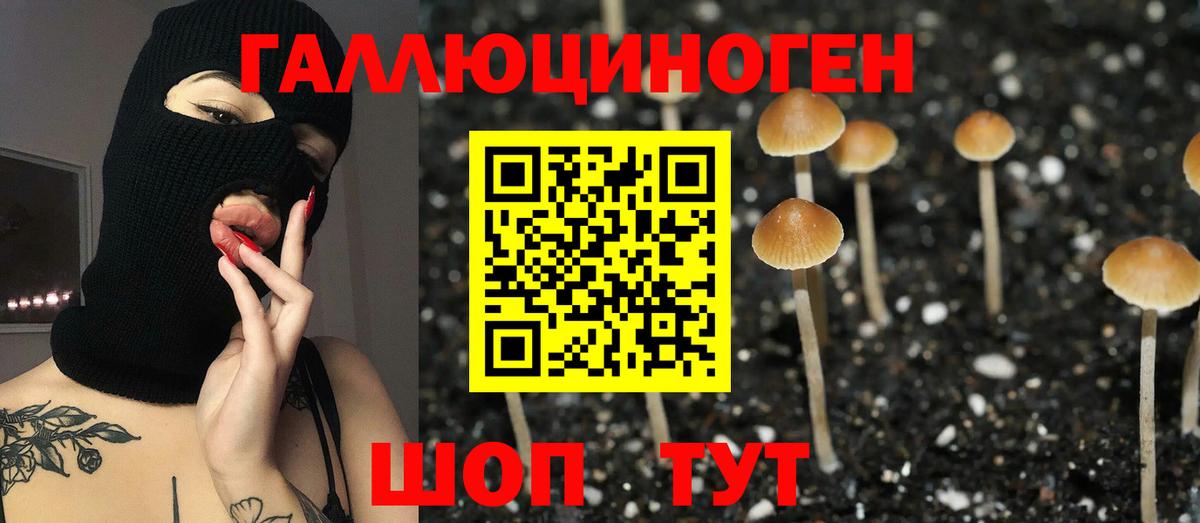 Псилоцибиновые грибы мухоморы Воронеж